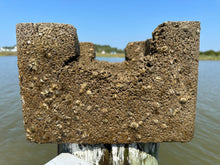 Load image into Gallery viewer, EcoDocks (Summer 2025 Install)