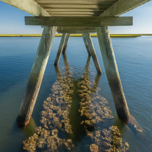 Load image into Gallery viewer, EcoDocks (Summer 2025 Install)